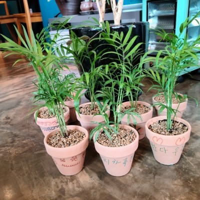 노인맞춤돌봄서비스(특화서비스) 집단활동프로그램 &#034;원예프로그램&#034; 진행 이미지