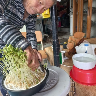 노인맞춤돌봄서비스 - 어르신들을 위한 우울예방프로그램 '쑥쑥' 마음텃밭 이미지